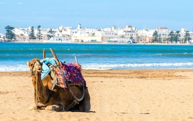 Appartement Essaouira Proche De La Mer Dış mekan fotoğraf