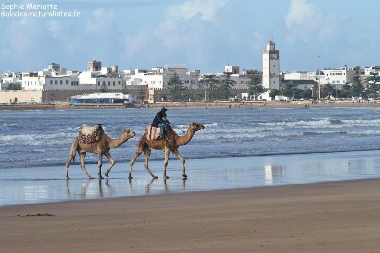 Appartement Essaouira Proche De La Mer Dış mekan fotoğraf
